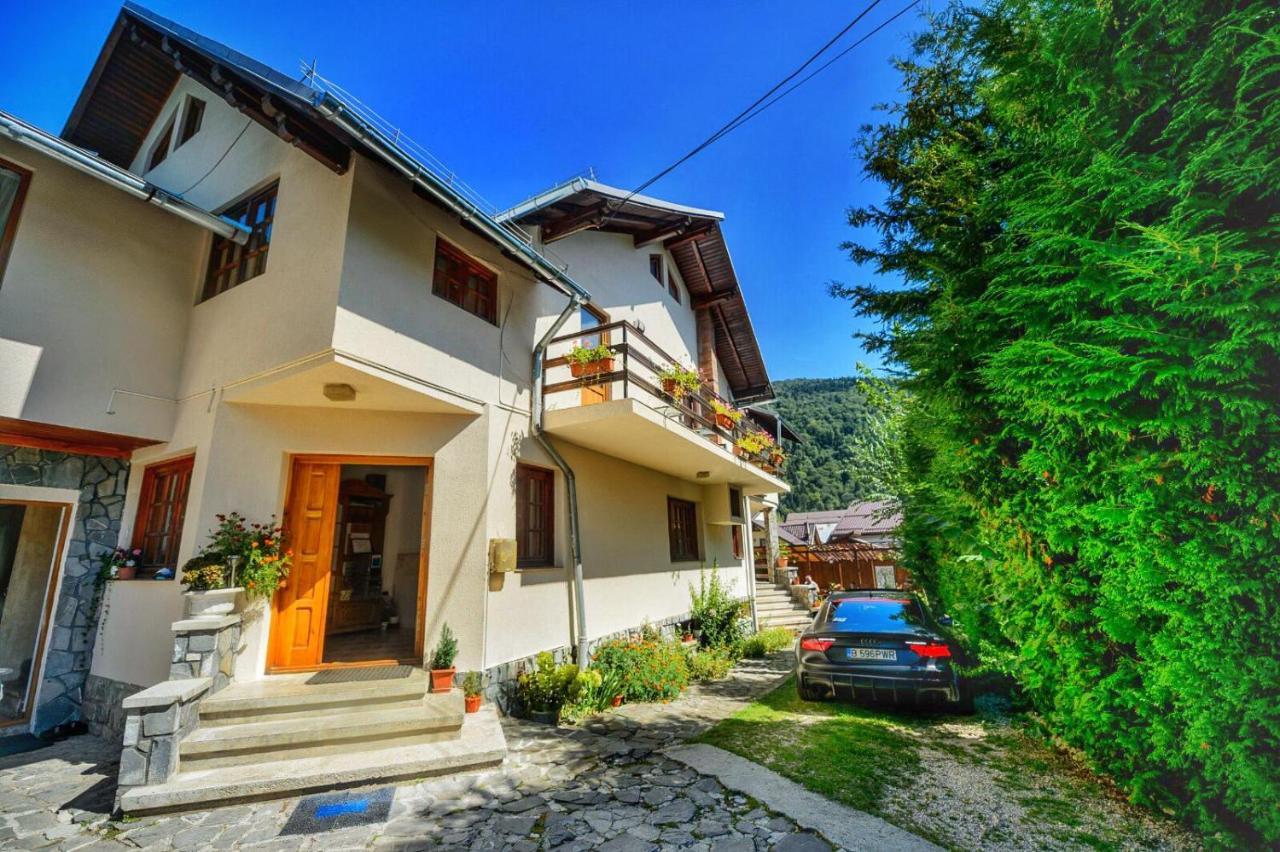 Amandra Chalet Sinaia Exteriör bild