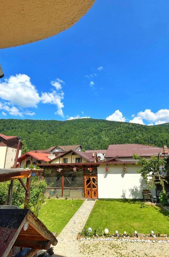 Amandra Chalet Sinaia Exteriör bild