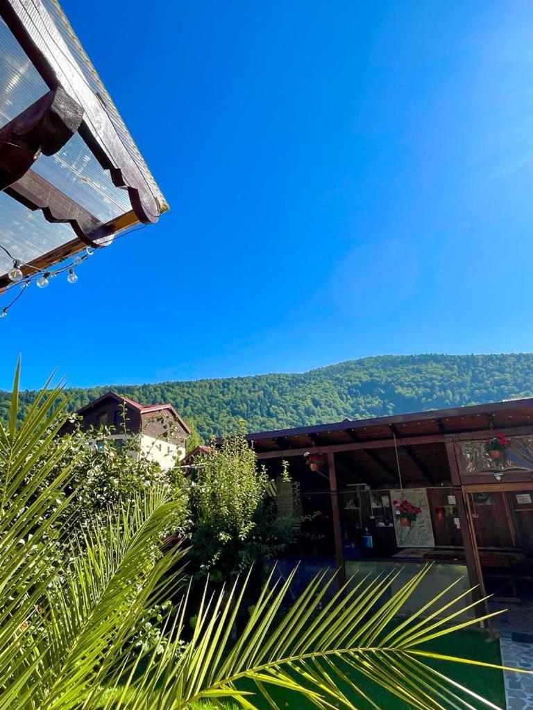 Amandra Chalet Sinaia Exteriör bild